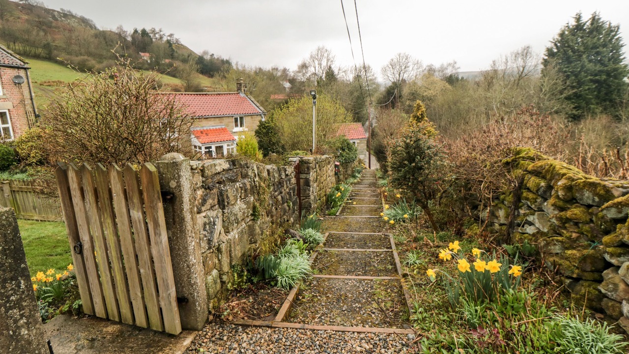 Photo of Others in North York Moors National Park