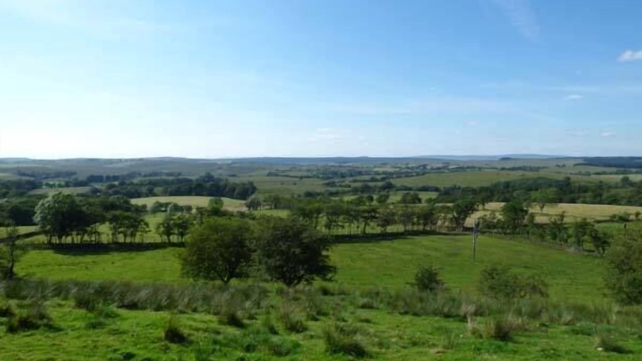 Photo of Others in Bewcastle