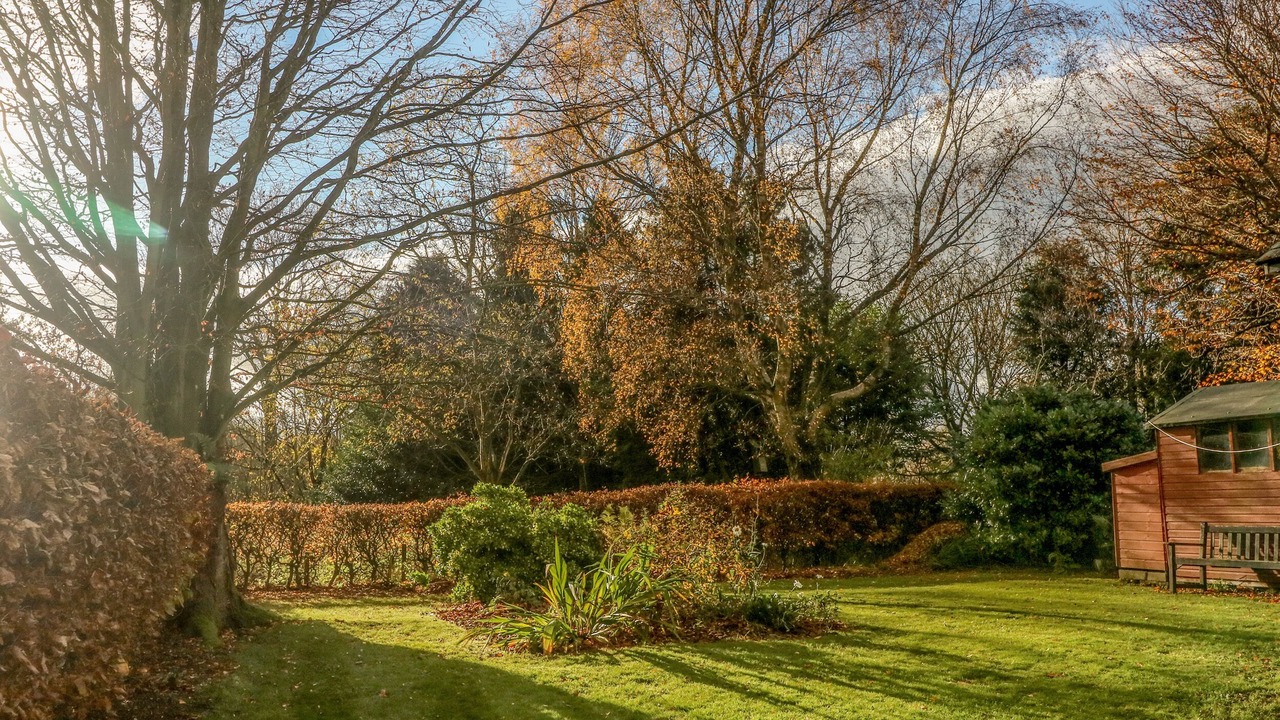 Photo of Others in Dufton