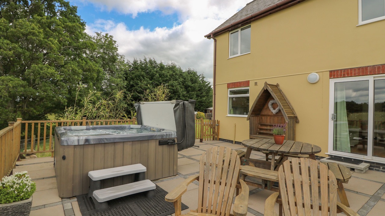 Photo of Others in Disserth and Trecoed