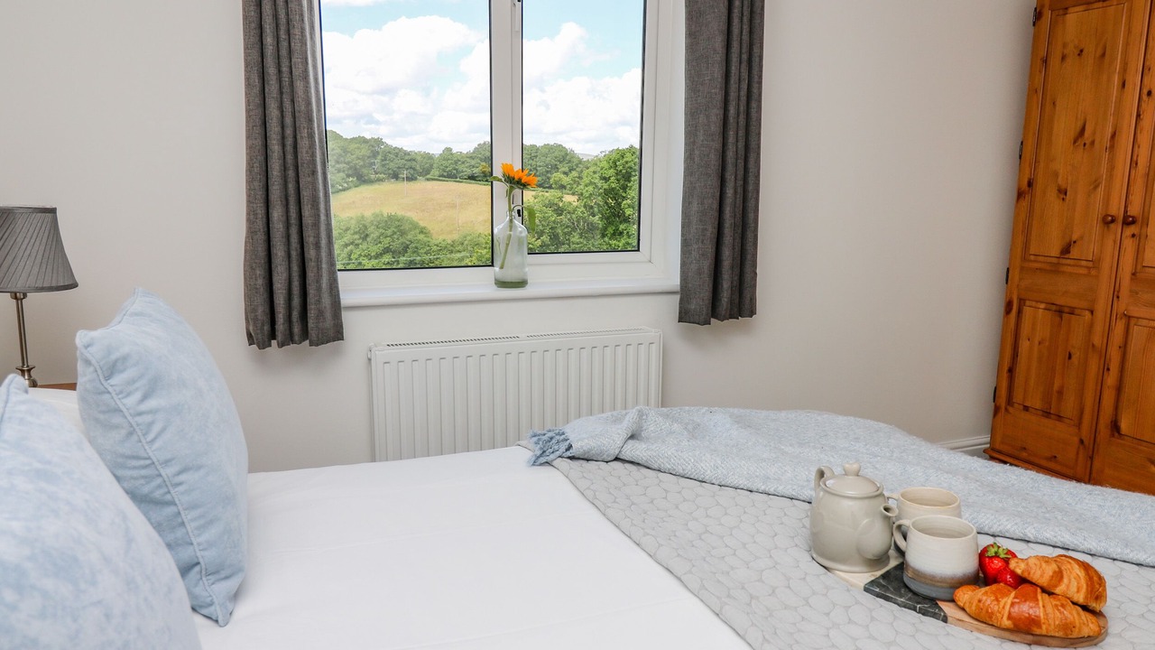 Photo of Others in Disserth and Trecoed