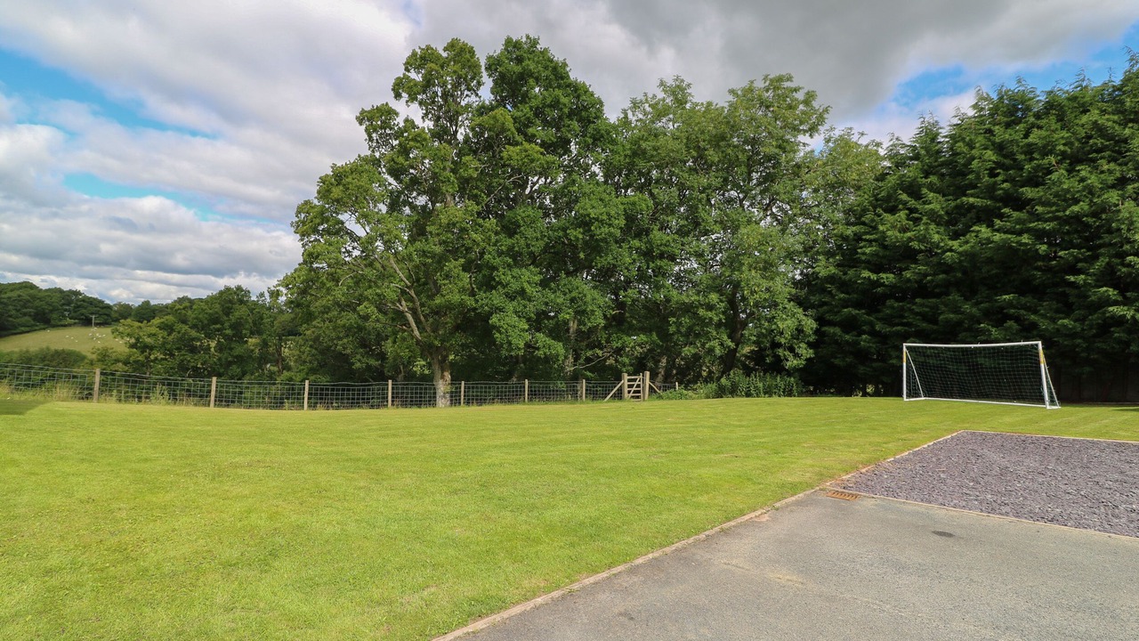 Photo of Others in Disserth and Trecoed