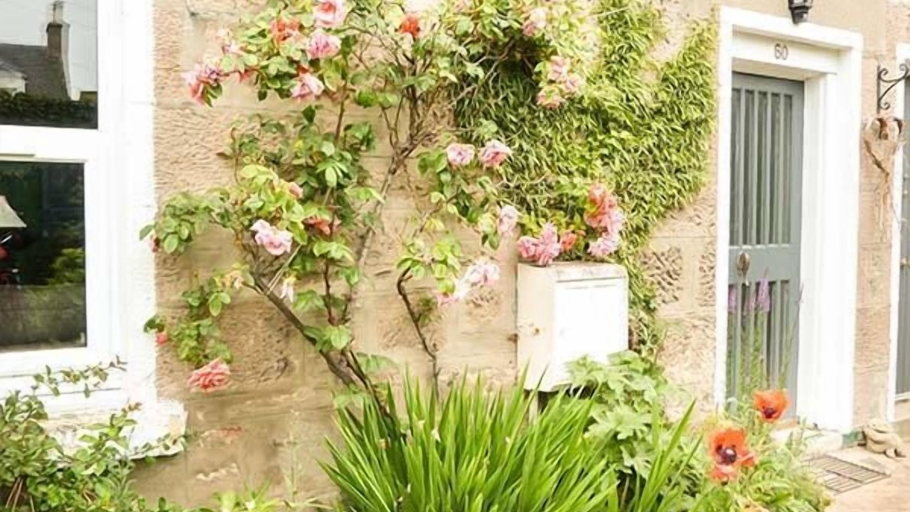 Photo of Others in Nairn