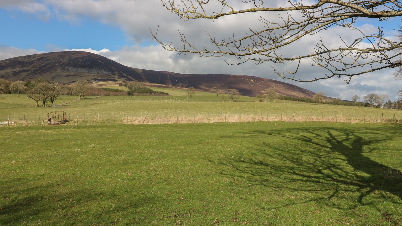 Photo of Others in Biggar