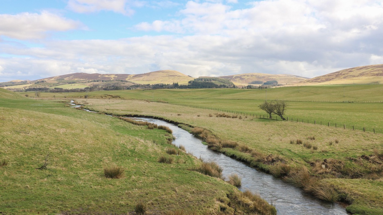 Photo of Others in Biggar