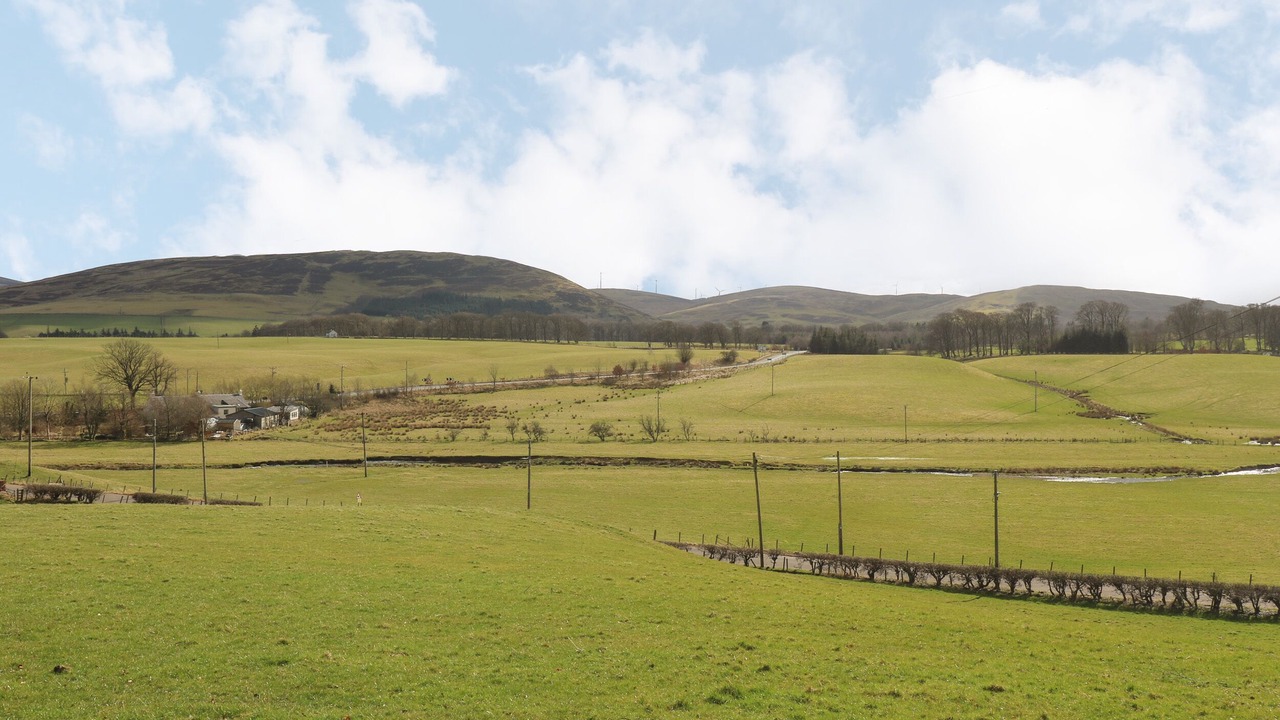 Photo of Others in Biggar