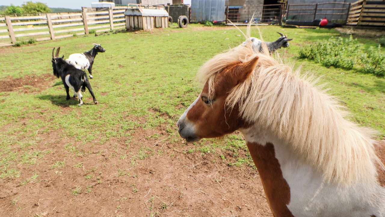 Photo of Others in Northallerton