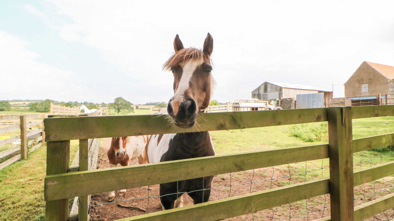 Photo of Others in Northallerton