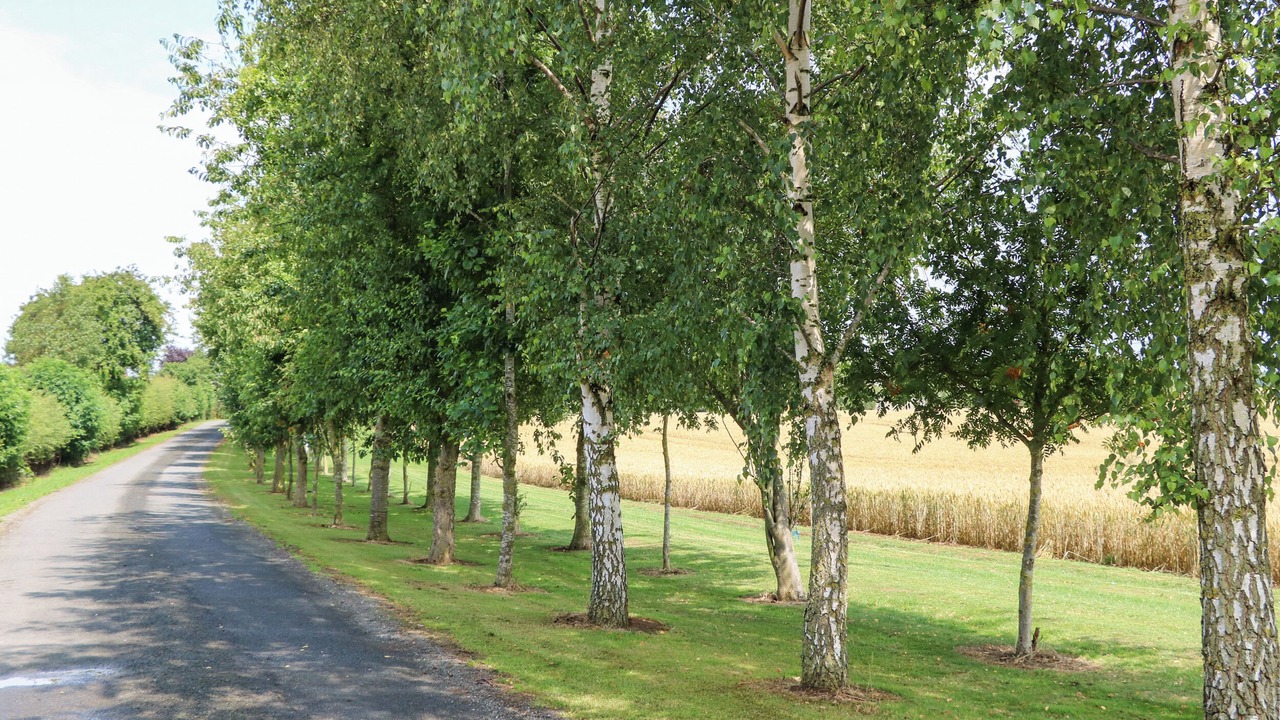 Photo of Others in Northallerton