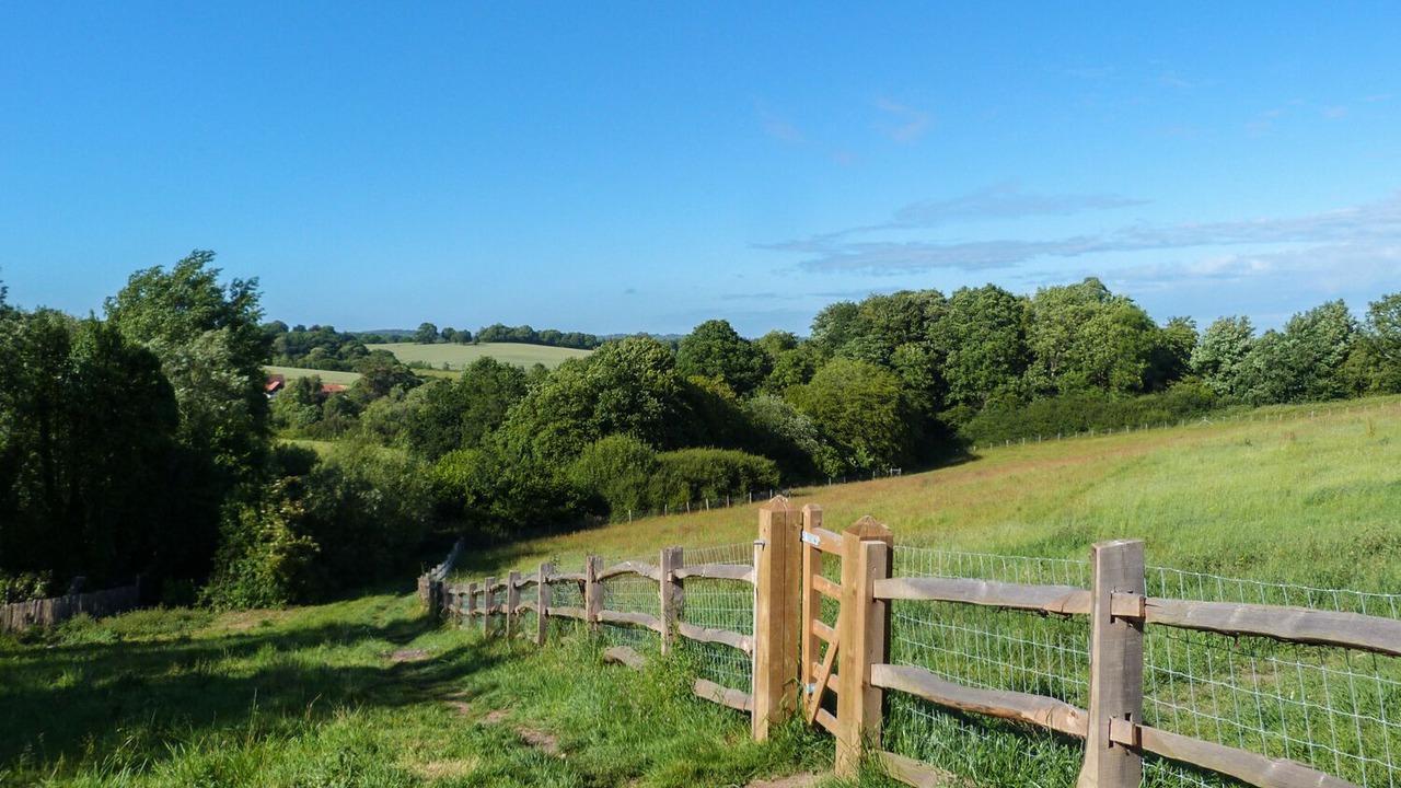 Photo of Others in Battle