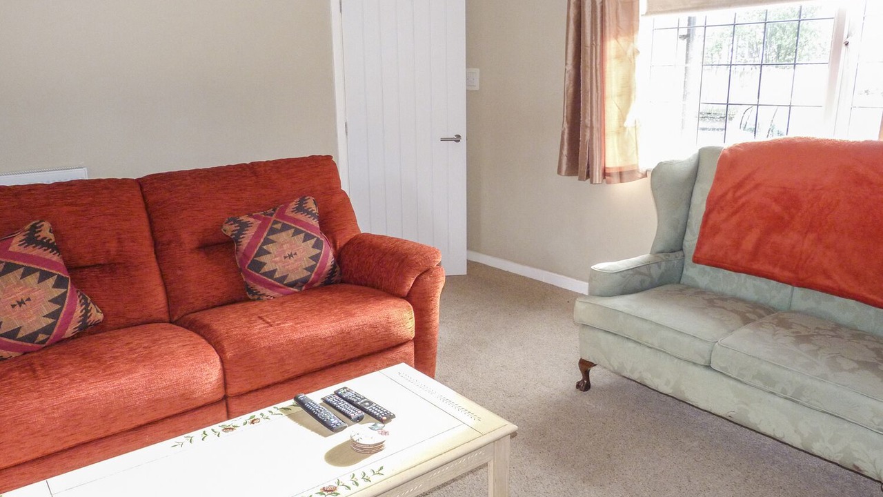 Photo of Others in Battle