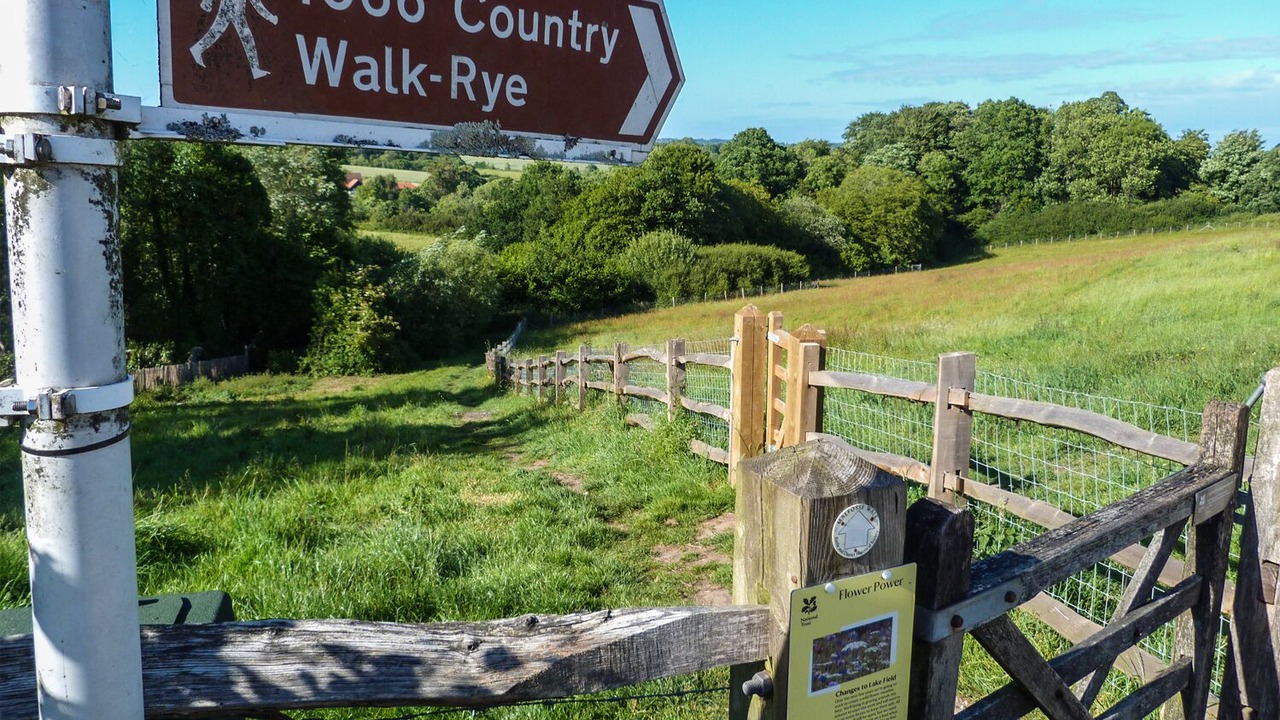 Photo of Others in Battle