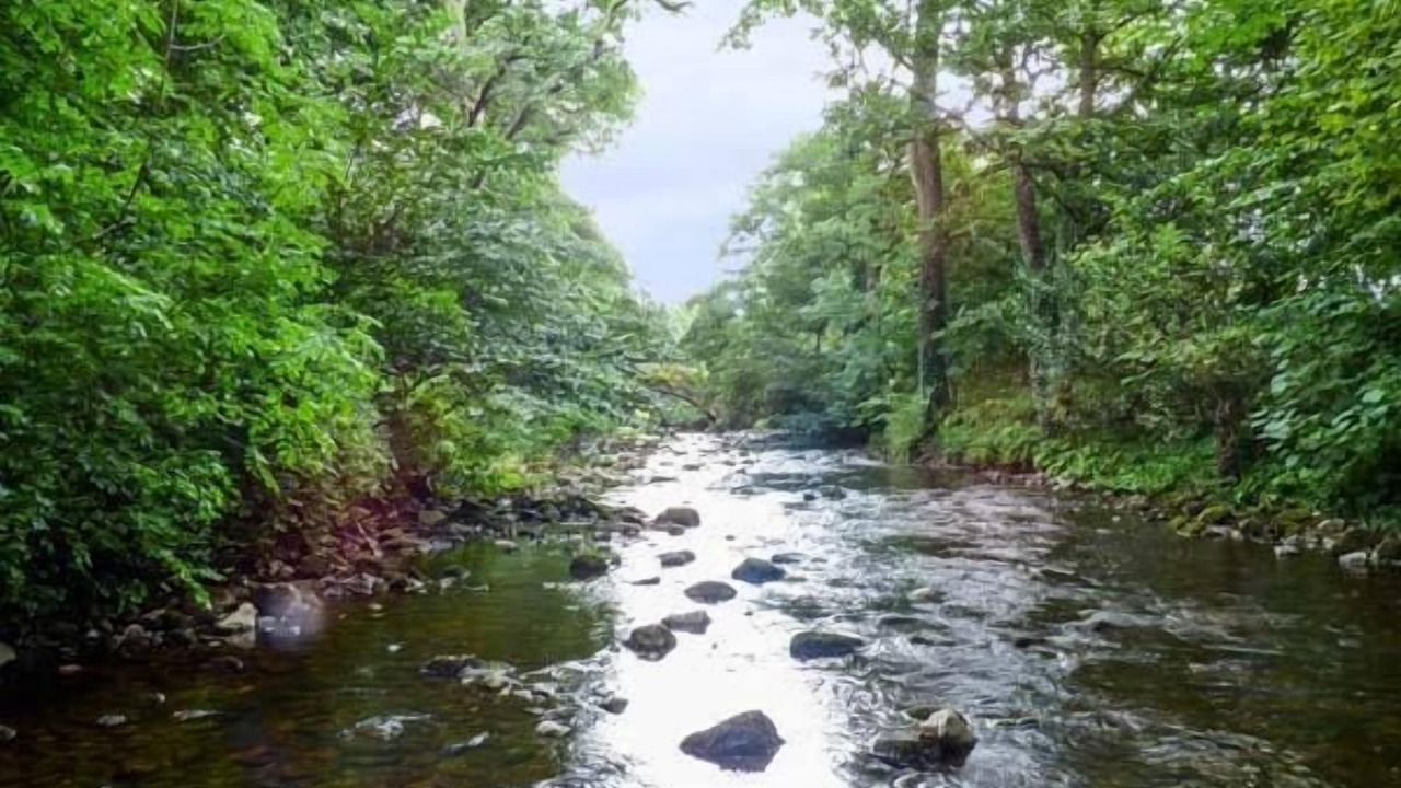 Photo of Others in West Burton