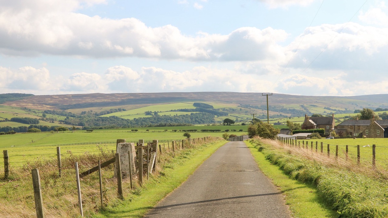 Photo of Others in Hexham