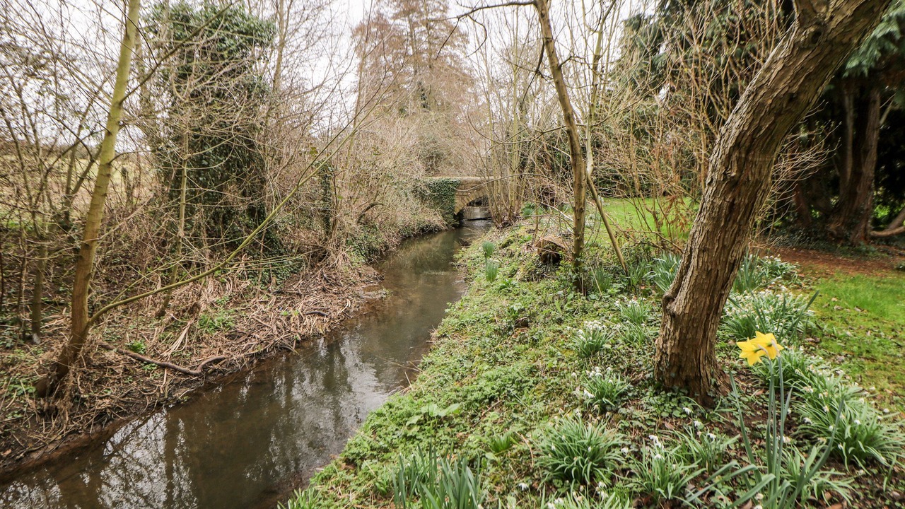 Photo of Others in Carlton in Lindrick