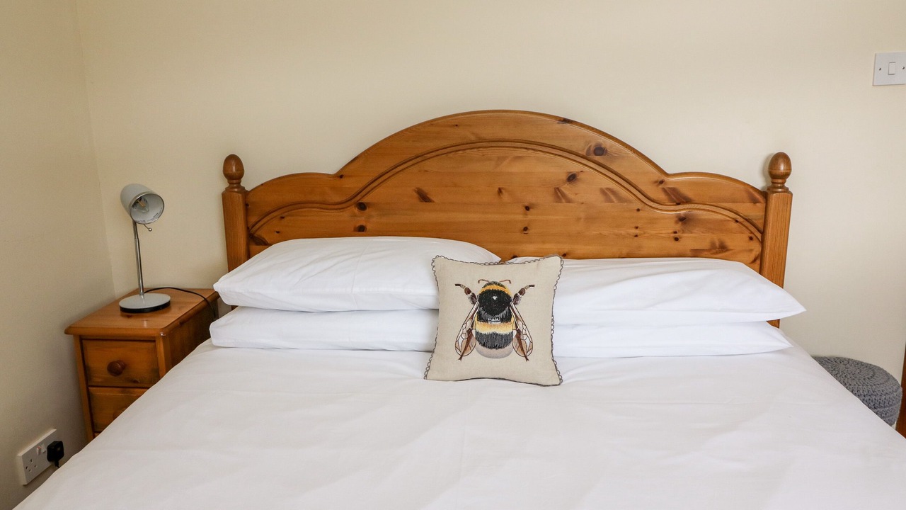 Photo of Others in Disserth and Trecoed