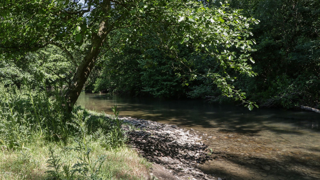 Photo of Others in Aymestrey