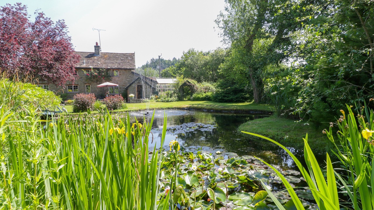 Photo of Others in Aymestrey