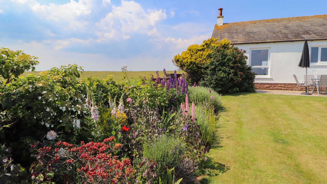 Photo of Others in Maryport