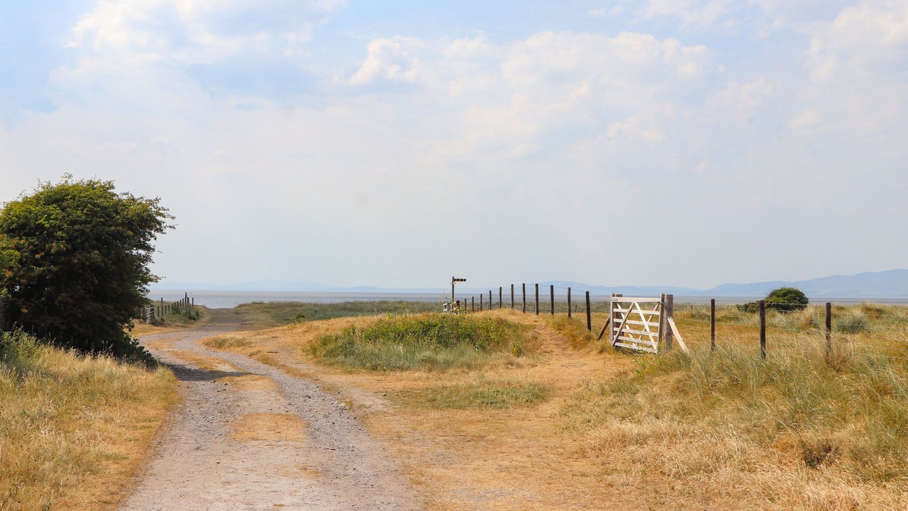Photo of Others in Maryport