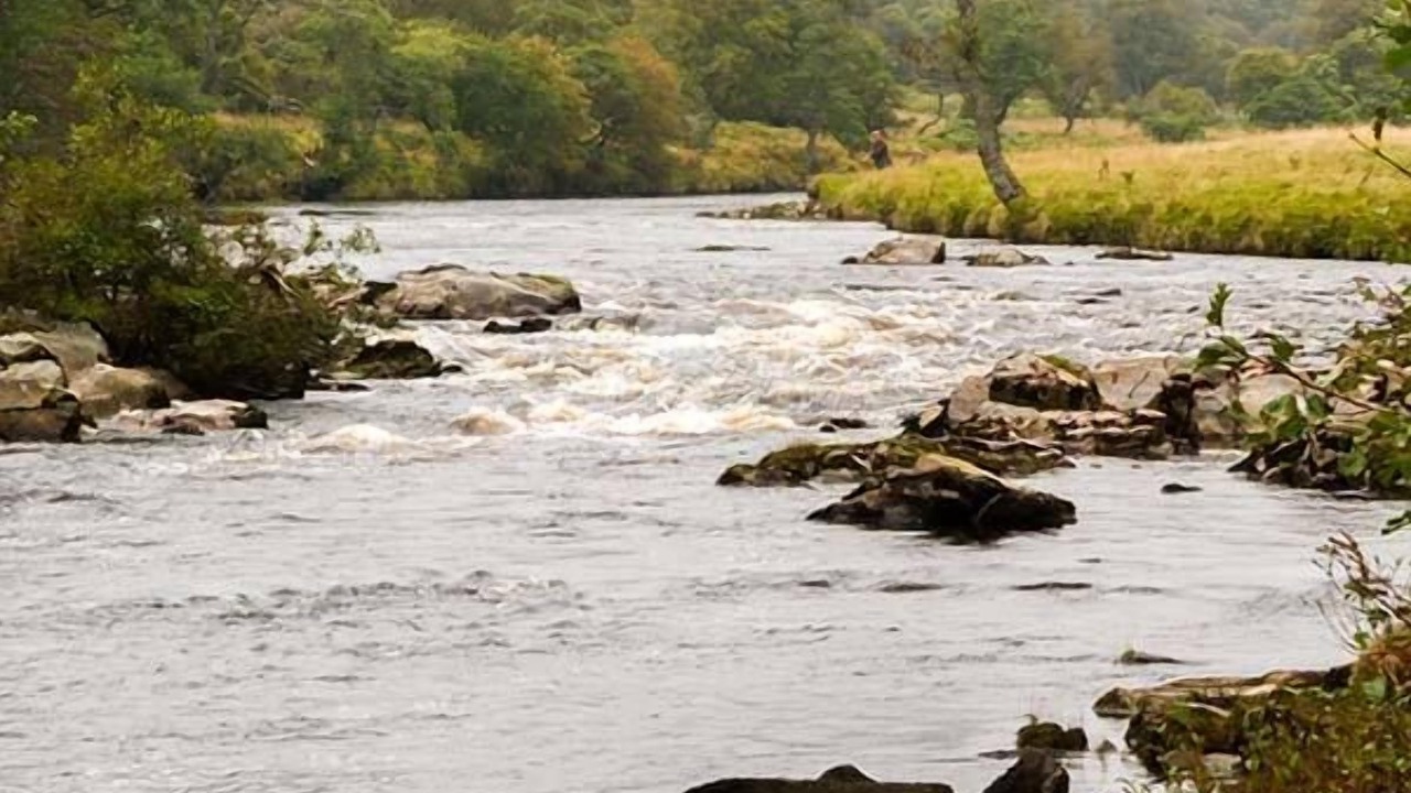 Photo of Others in Forsinard