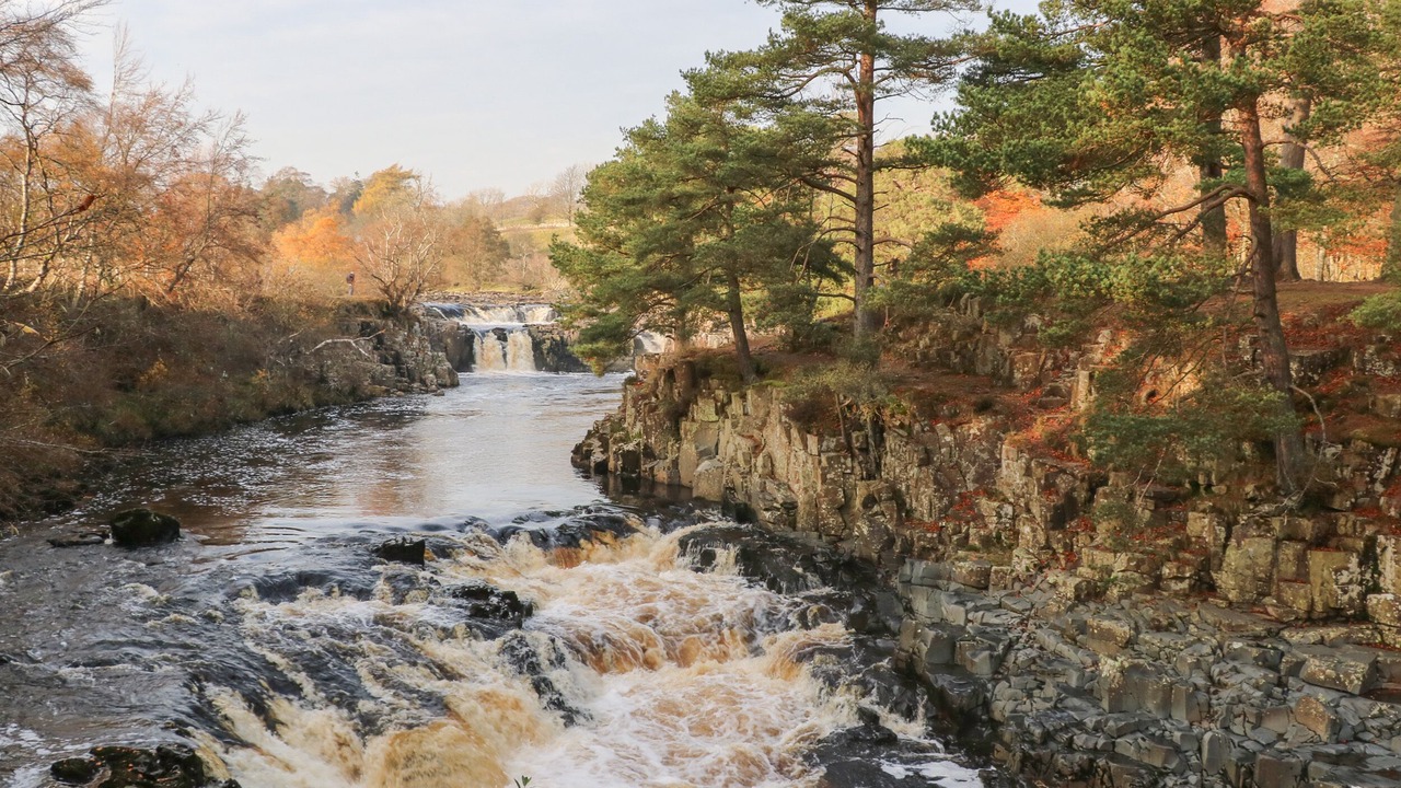 Photo of Others in Eggleston