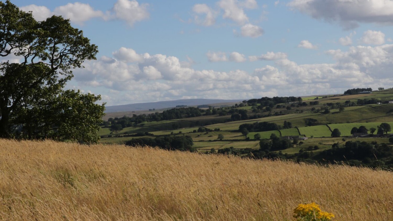 Photo of Others in Eggleston