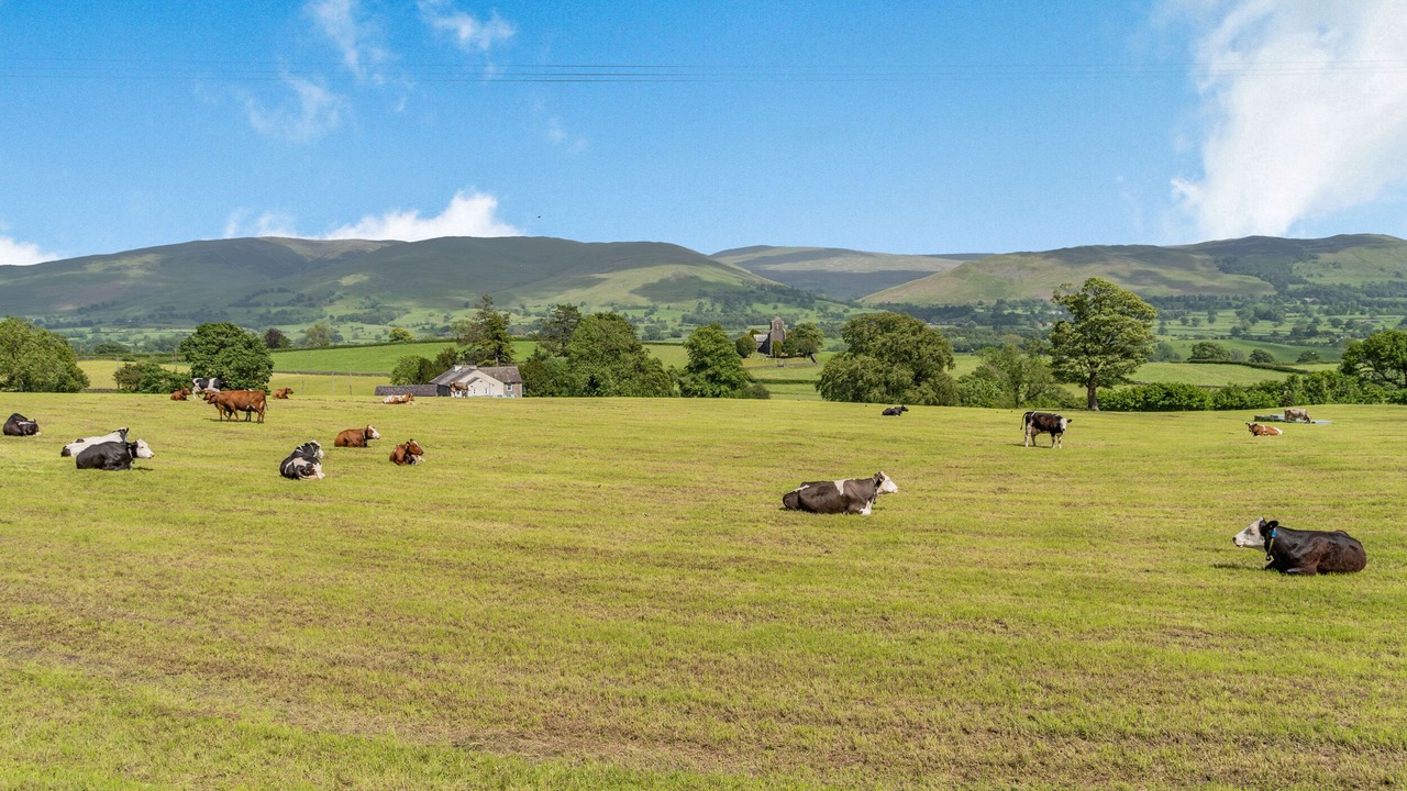 Photo of Others in Carnforth