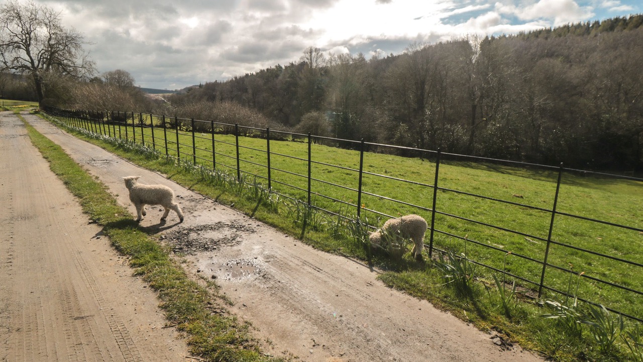 Photo of Others in North York Moors National Park