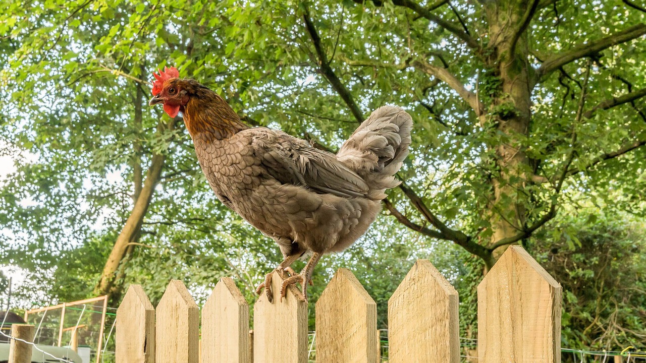 Photo of Outdoor in Bardsea