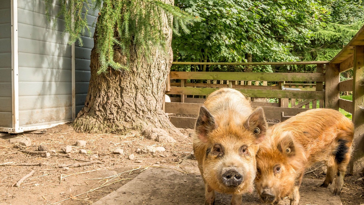 Photo of Others in Bardsea