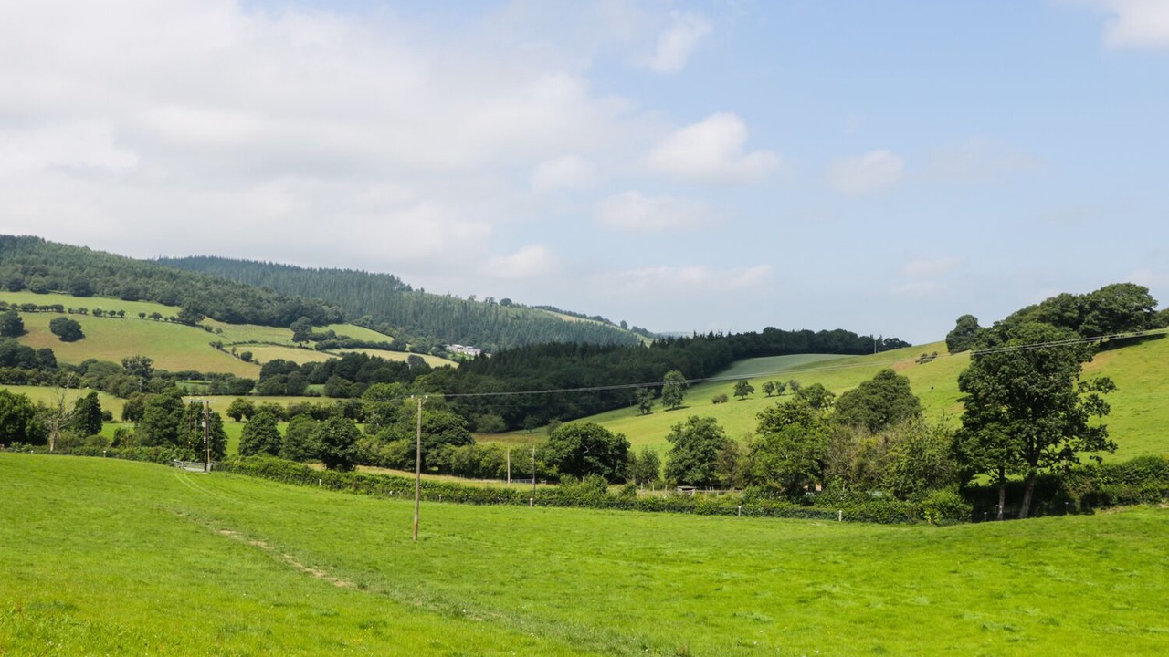 Photo of Others in Ruthin