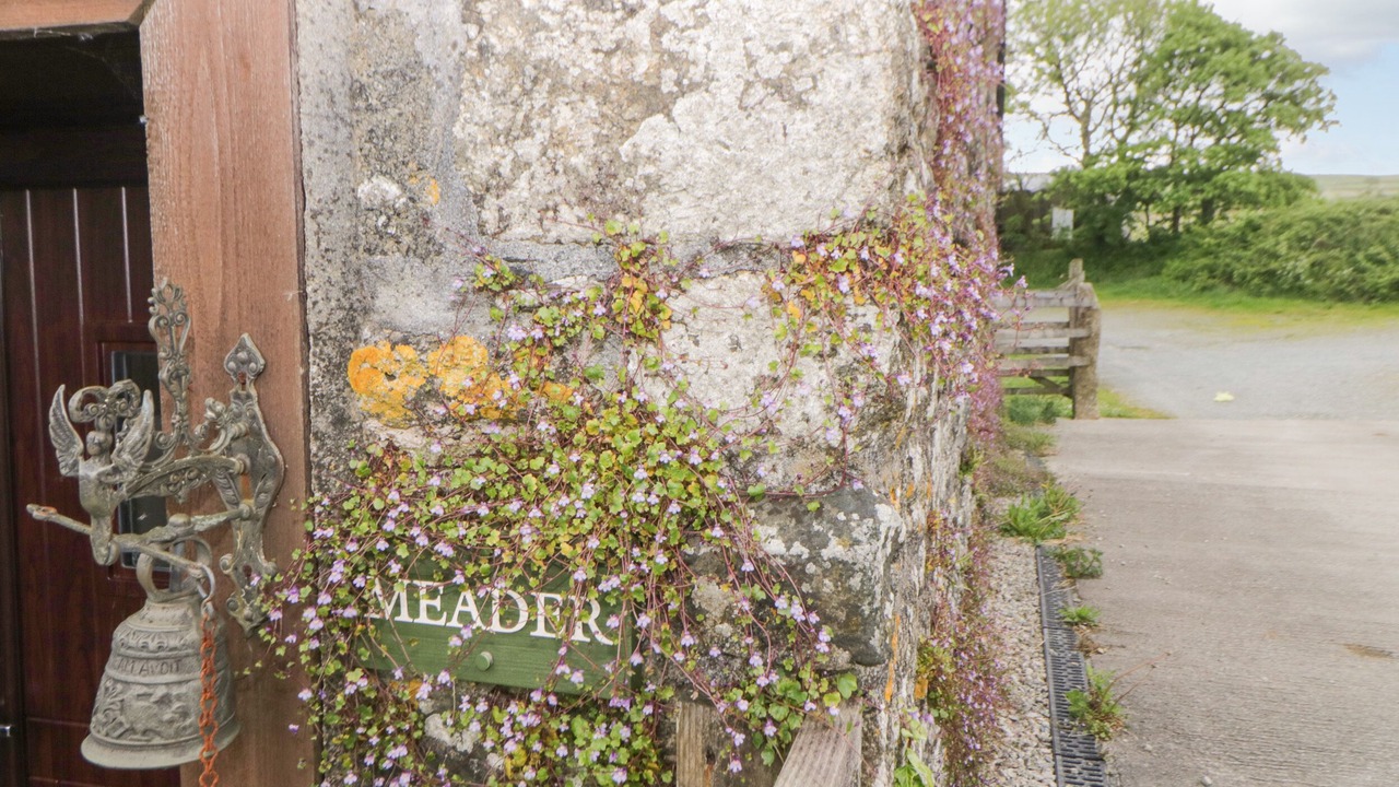 Photo of Others in Mary Tavy