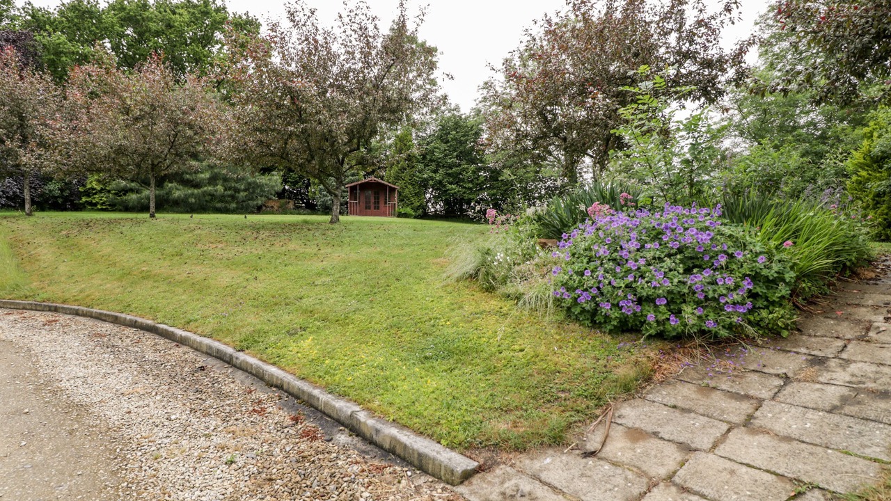 Photo of Others in Bedchester