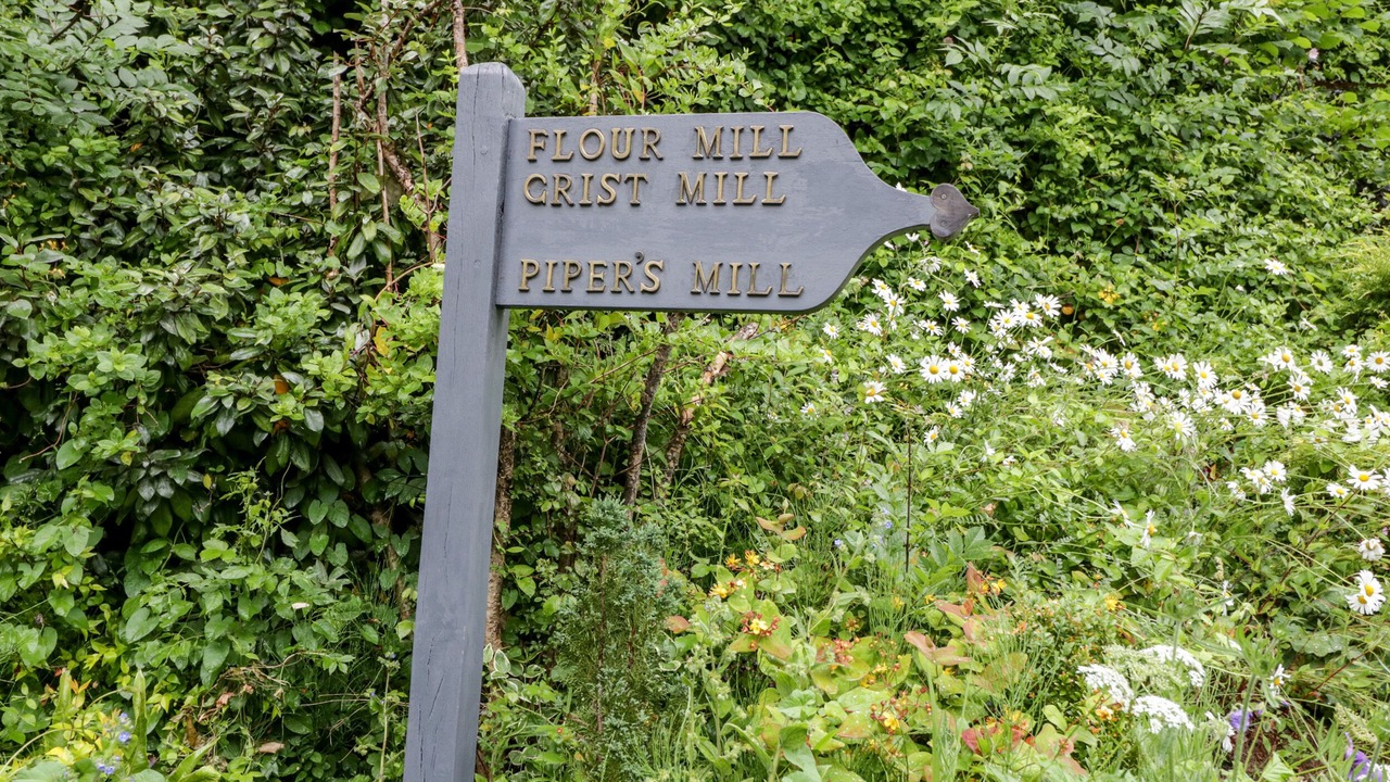 Photo of Others in Bedchester