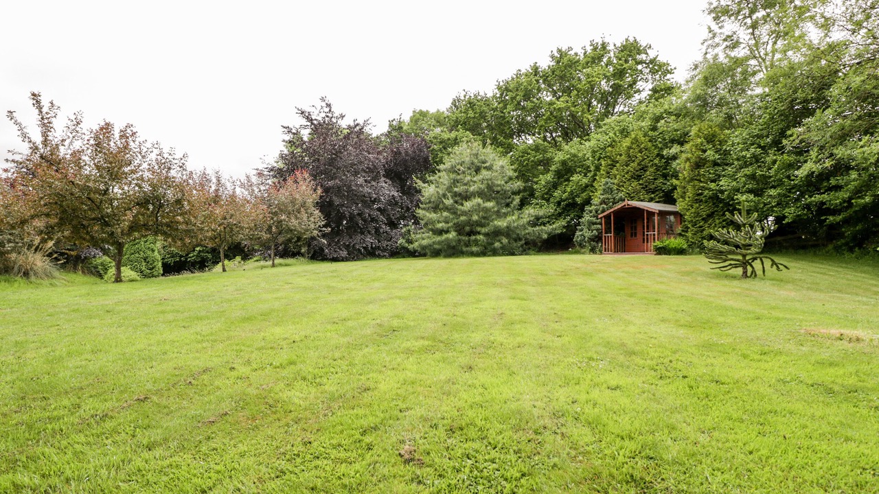 Photo of Others in Bedchester