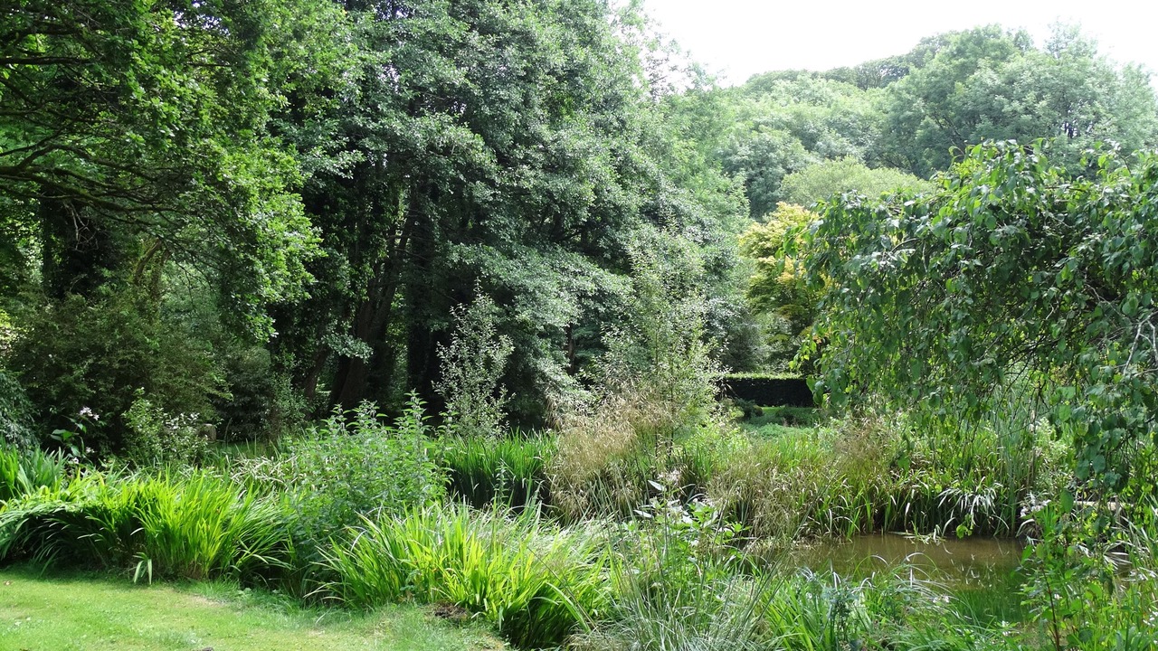 Photo of Others in Newton Abbot