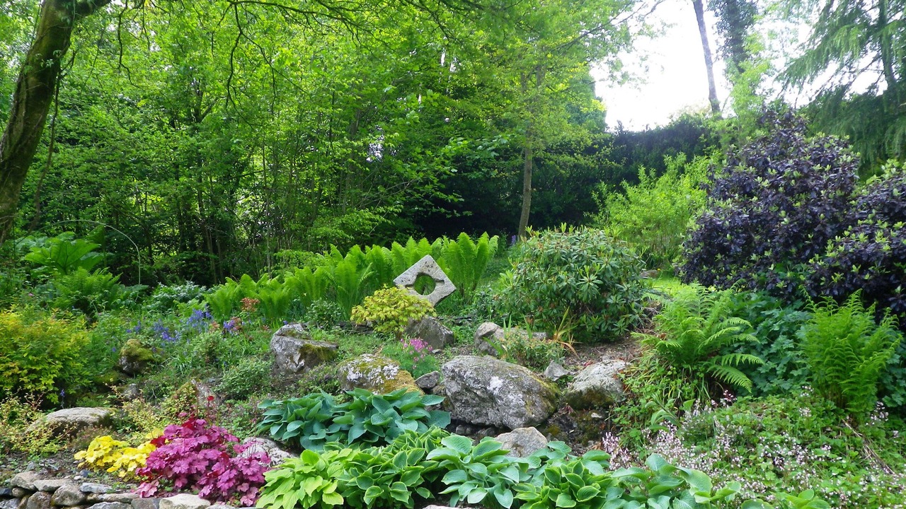 Photo of Others in Newton Abbot