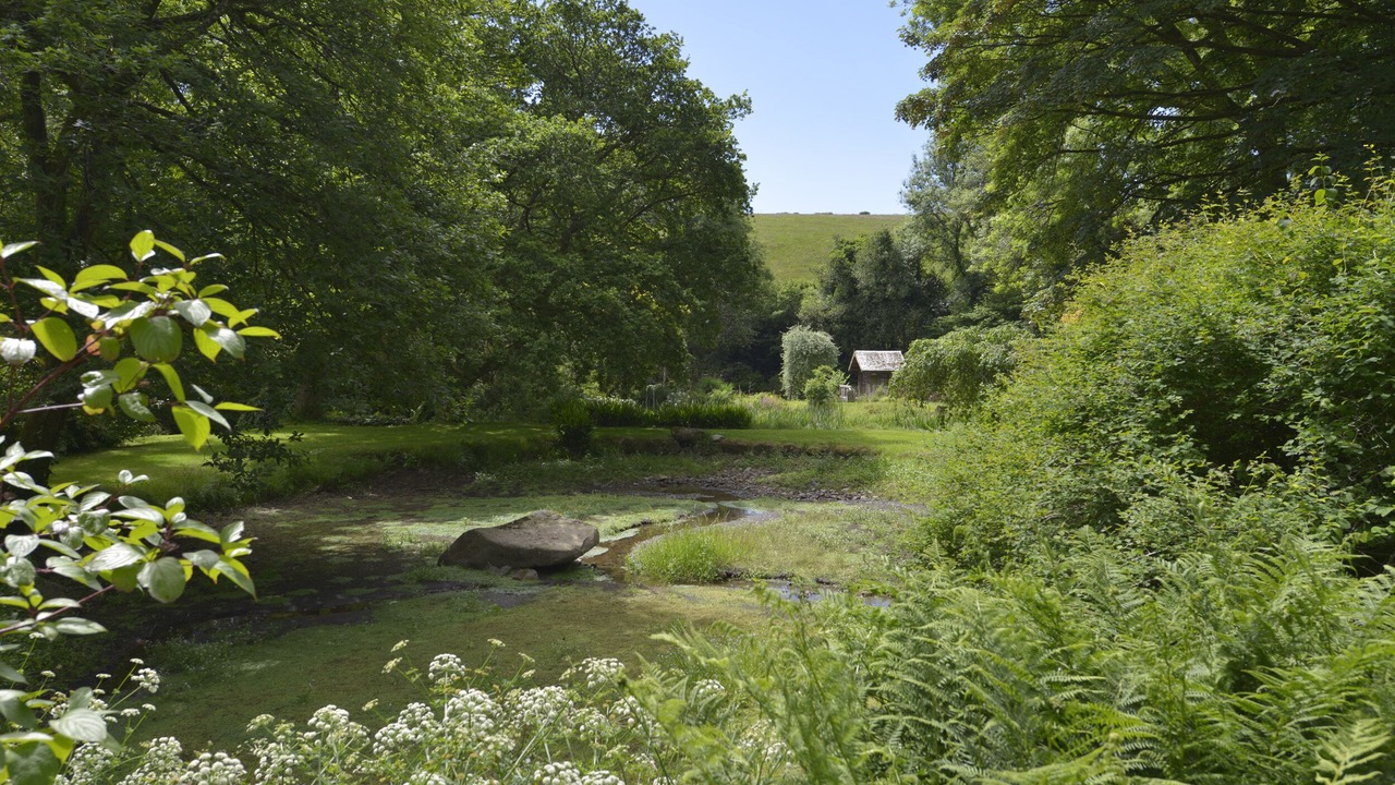 Photo of Others in Newton Abbot