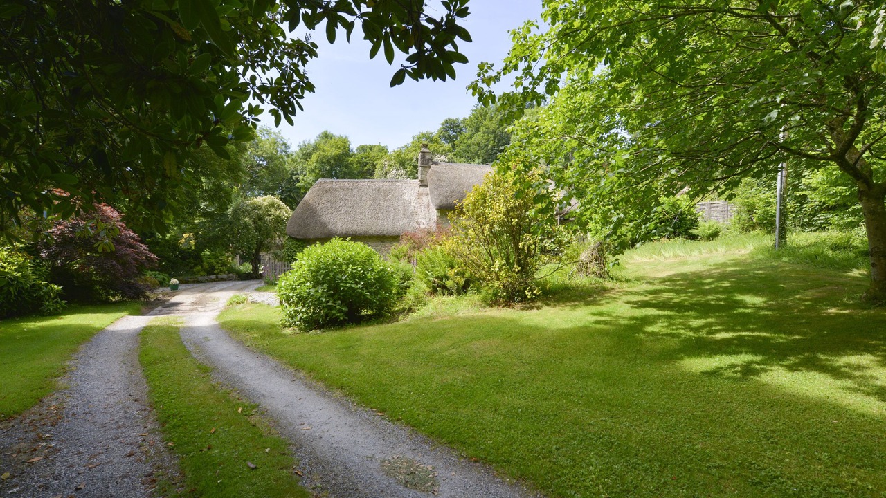 Photo of Others in Newton Abbot