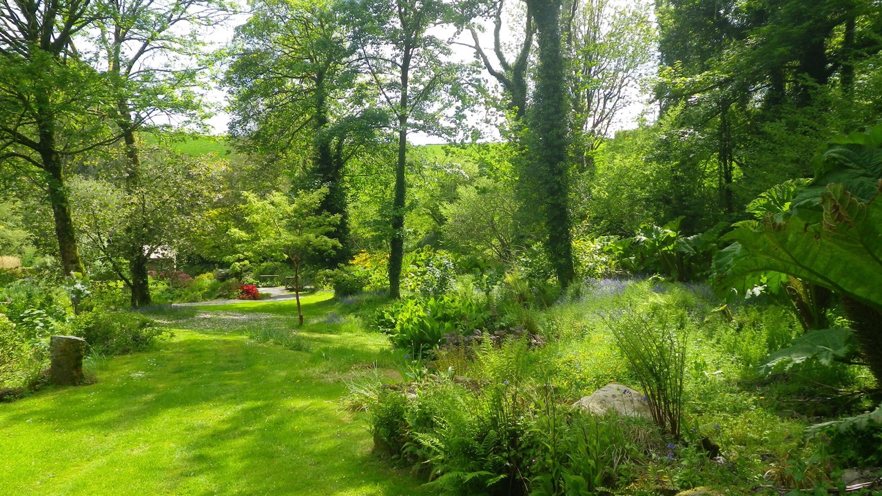 Photo of Others in Newton Abbot