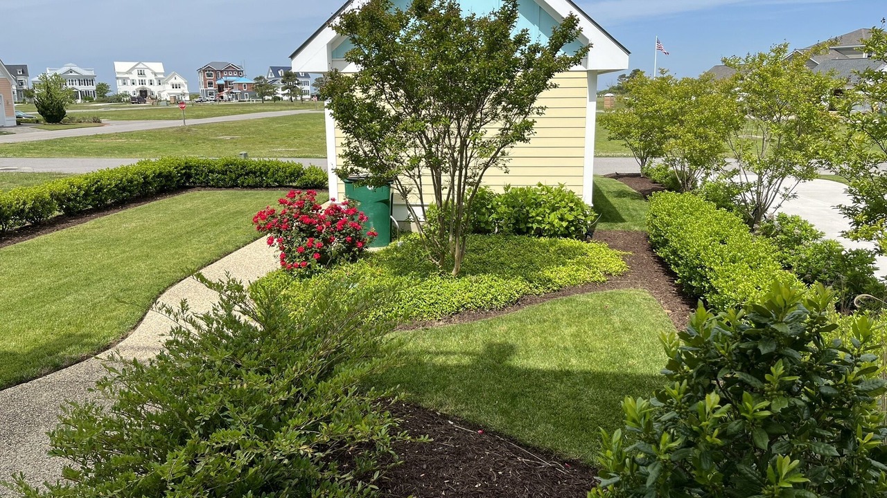 Photo of Outdoor in Cape Charles