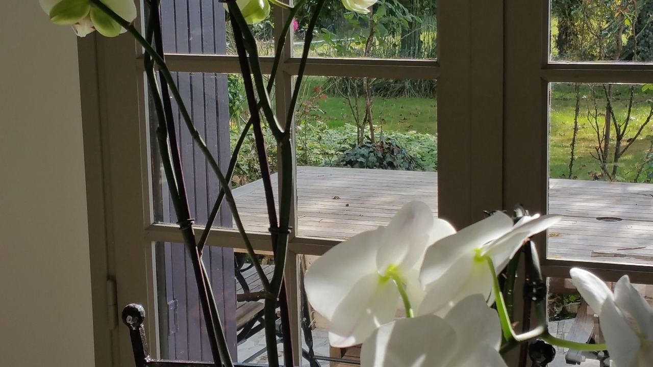 Photo of Others in Saint-Martial de Gimel