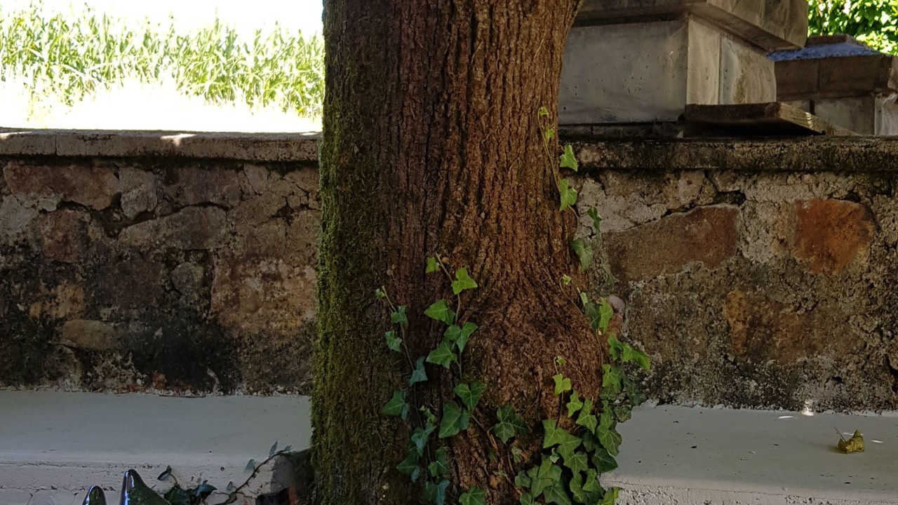 Photo of Patio Balcony in Saint-Martial de Gimel