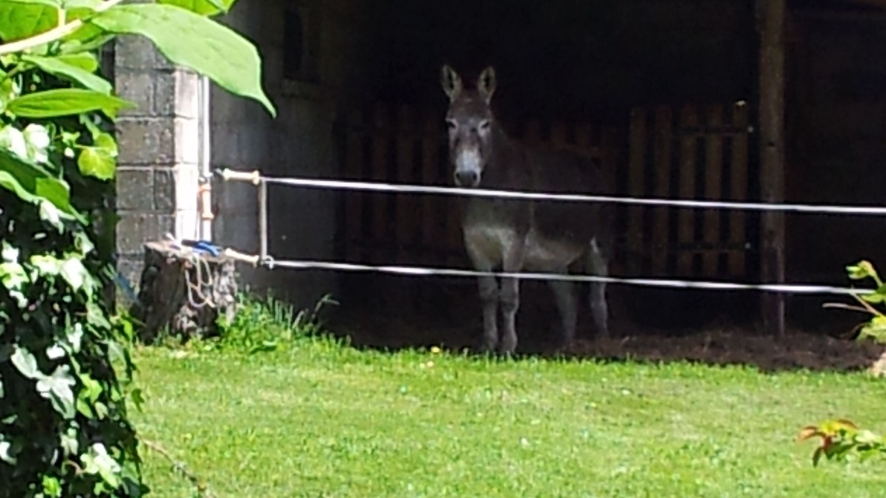 Photo of Outdoor in Saint-Martial de Gimel