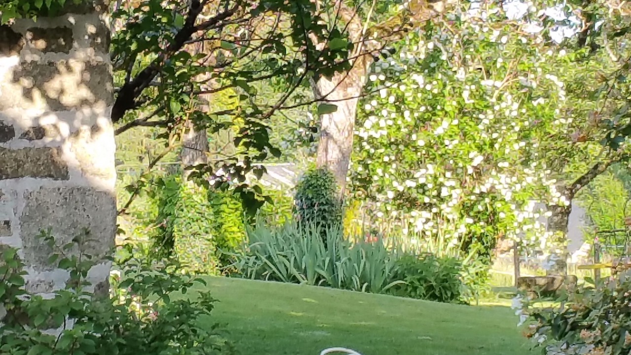 Photo of Outdoor in Saint-Martial de Gimel