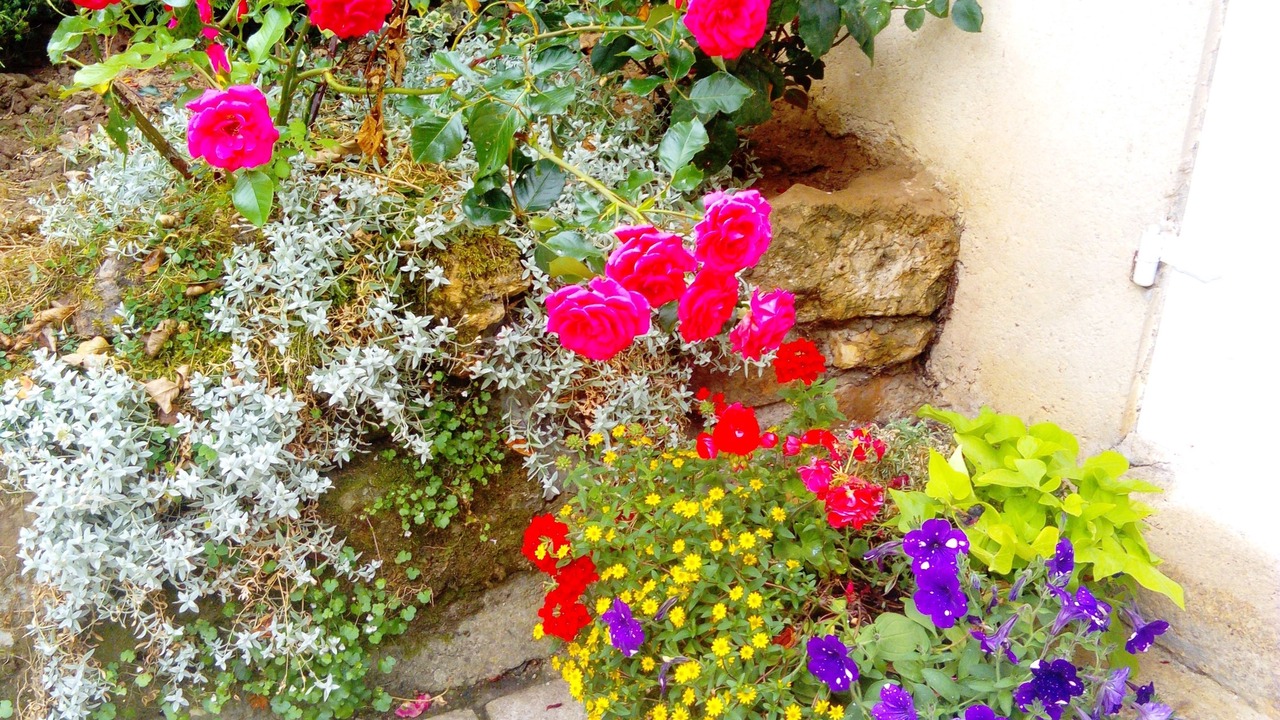 Photo of Outdoor in Pace