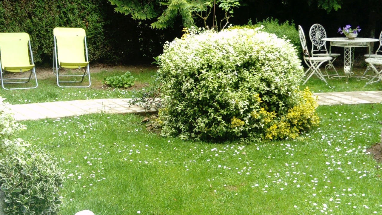 Photo of Outdoor in Pace