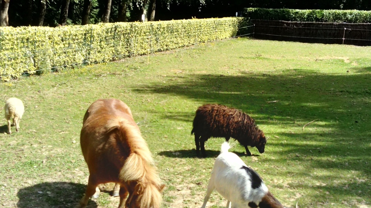 Photo of Outdoor in Pace