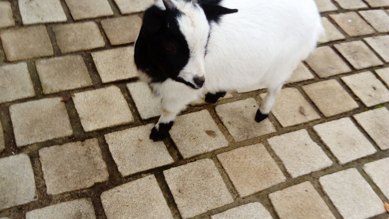 Photo of Outdoor in Pace